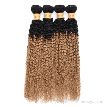 10A Unprocessed proudness 1b/27 wholesale virgin hair vendors bundles, curly ombre human hair